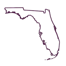Florida outline